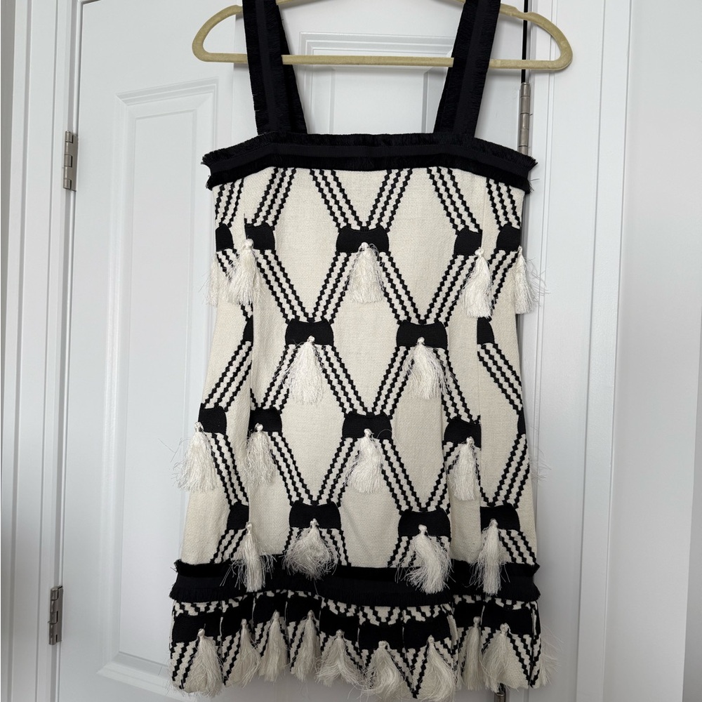 Alexis Black and White Mini Dress